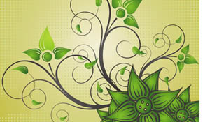 Beautiful Flower Vector Graphic